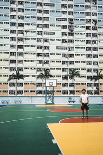 mk体育平台登录入口-中国足球球员场上视野覆盖模型建立，足球运动员在一瞬间把握球场上对方球员的布局漏洞
